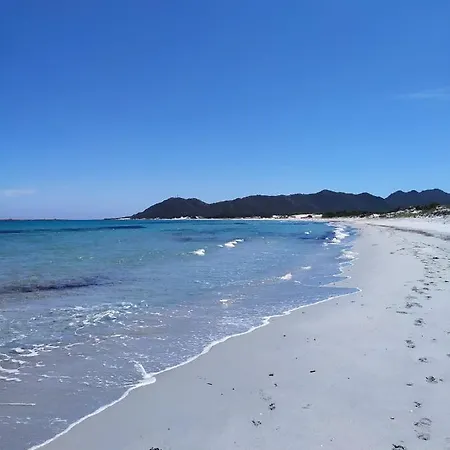 Sole Comino Santa Lucia (Sardinia)